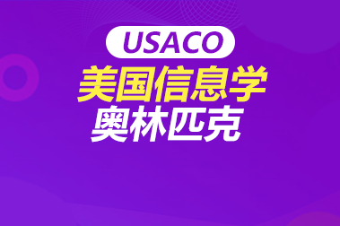 USACO美国信息学奥林匹克