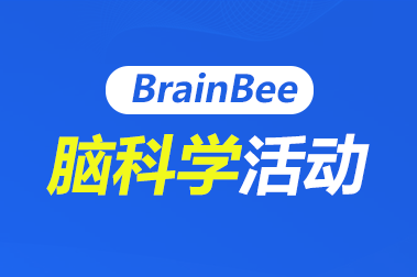 BrainBee脑科学活动