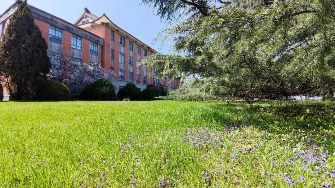 上海IEC中日融合课程