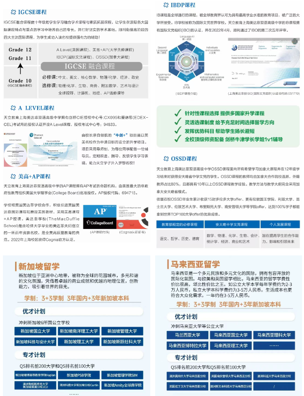 天立上海美达菲国际部课程.png