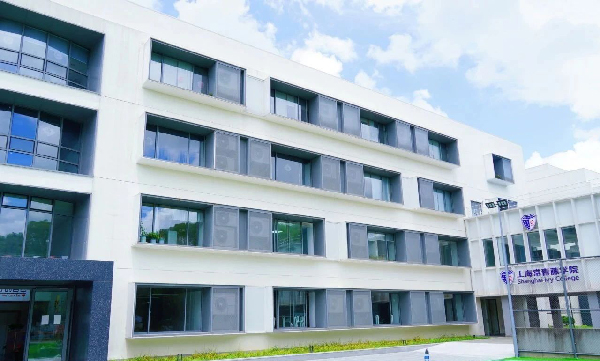 上海常青藤学校